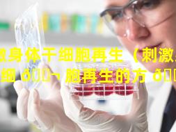 刺激身体干细胞再生（刺激身体干细 🐬 胞再生的方 🌼 法）